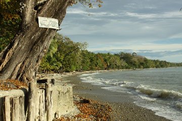 image of beach at Howler Monkey Hotel