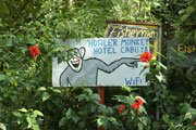 Howler Monkey Hotel sign